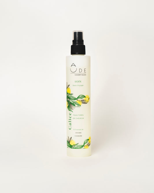 Soin cheveux sans rinçage