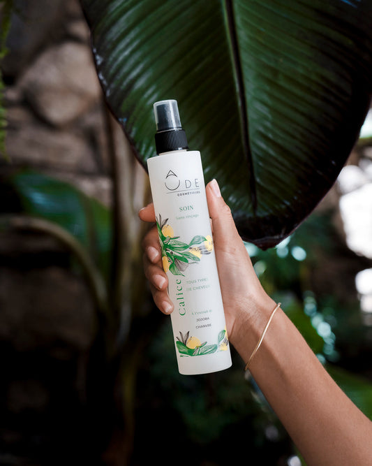 Soin cheveux sans rinçage